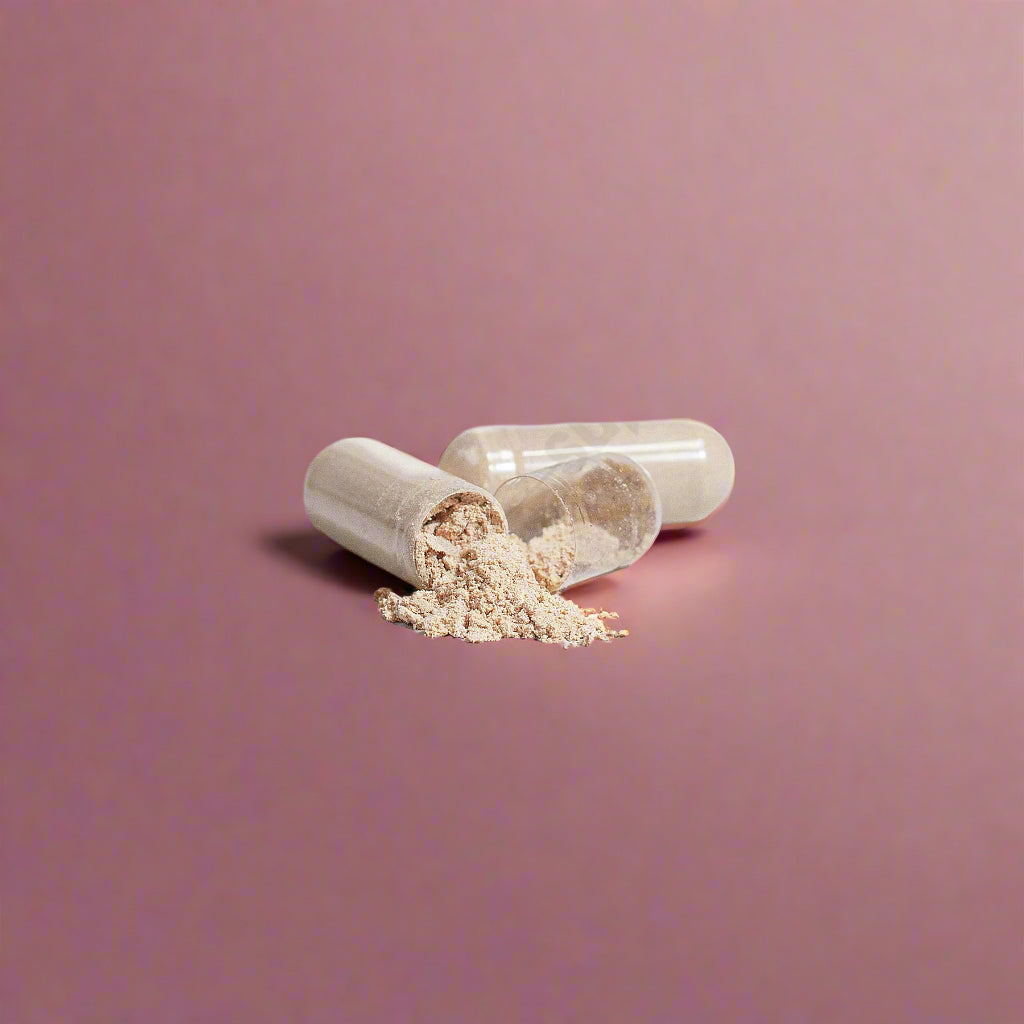 VitaNova Organic Lion’s Mane – Cognitive & Stress Support