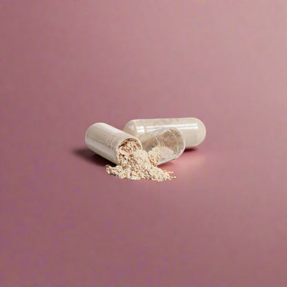 VitaNova Organic Lion’s Mane – Cognitive & Stress Support